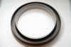 CUMM 3016792 Shaft Seal, crankshaft
